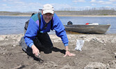 Brad Hyslop conducts archaeological research on a portion of the Lac Seul shoreline in June 2010.      Joanna Klein / Submitted Photo