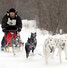 Brian Bergen racing an 8-dog team from years past. - Bulletin File Photo