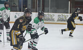 The Warriors in action against the Muskies in girls hockey action on Feb. 8.    Tim Brody / Bulletin Photo
