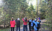 Led by Monika Orzechowska, Bird Walk participants scanned for various birds along the Cedar Bay trail. - Jesse Bonello / Bulletin Photo