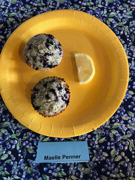 The Great Blueberry Bake-Off Winners 