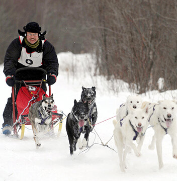 Brian Bergen finds success early in busy sled dog racing season