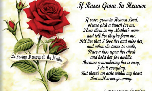 Memories and Celebrations of Life: In Memoriam - Flora Colucci