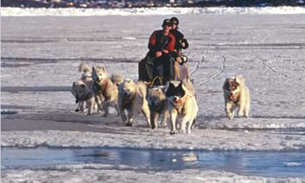 Discovering Nan Dorland: Nan and John’s Dogsledding Accident