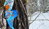 Specially painted Easter rocks and 72 chocolate bunnies were hidden along the Cedar Bay trail over the Easter long weekend.   Tim Brody / Bulletin Photo