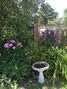 Part of Sherry McNear’s annually maintained garden.      Sherry McNear / Submitted Photos