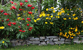 A Sioux Lookout flower garden in bloom. - Bulletin File Photo