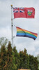 A brisk breeze sets the Pride flag waving as it is raised at the Municipal Office on June 1.    Mike Lawrence / Bulletin Photo