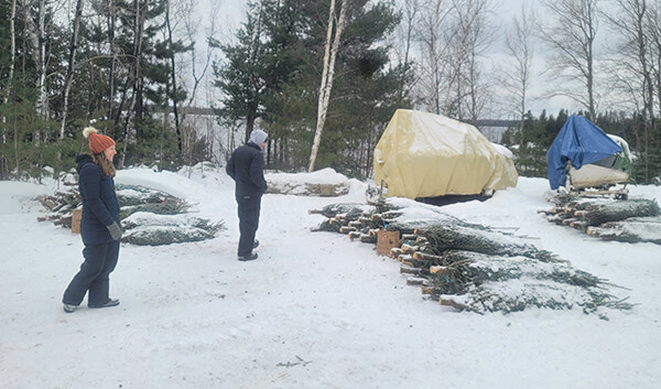 Sioux Lookout Gymnastics Club holds annual Christmas Tree sale