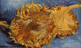 “Still Life with Two Sunflowers” by Vincent van Gogh