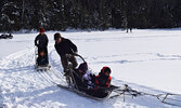 Community members enjoyed dog sled rides at the Cedar Bay lakeshore during Family Day last year courtesy of Jesse Terry. - Jesse Bonello / Bulletin Photo