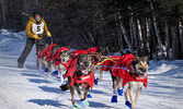 Canadian Challenge Sled  Dog Race / Facebook