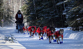 Canadian Challenge Sled  Dog Race / Facebook