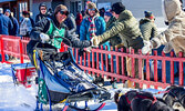 Jesse Terry gives high fives to spectators during the start of the Can-Am Crown International Sled Dog Race.   Photo courtesy Paul Cyr