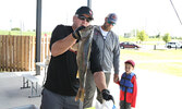 First place winners Theo Mansfield (right) and father Troy Mansfield  (centre) look on as SLAH President Jeremy Funk (left)  prepares to weigh their largest fish, which ended up being the big fish of the tournament at 5.25 pounds.    Tim Brody / Bulletin 