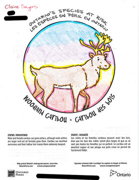 MNRF Kids Colouring Contest winners