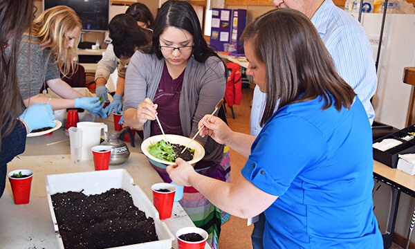 Learning to grow traditional medicines