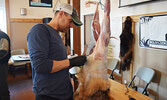 Adam Moore worked on a lynx during his demonstration at last years’ Pelt Prep Workshop. - Jesse Bonello / Bulletin Photo