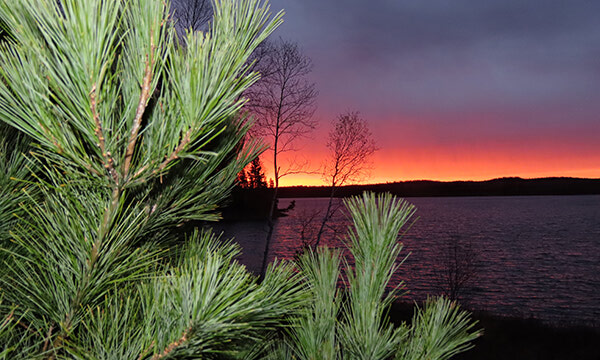Dick's Hideaway: Perspectives from  two old coots on a morning sunrise