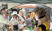 Visitors to the Third Annual Sioux Lookout Renaissance Fair were able to browse the wares of a variety of vendors and take in sword demos put on by Superior HEMA. Tim Brody / Bulletin Photo