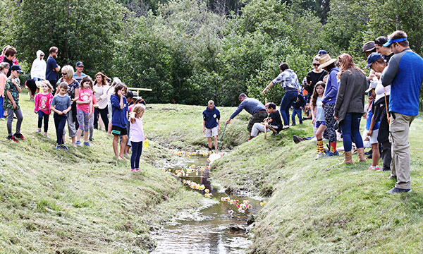 Rubber Ducky Race