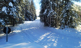 While not all area trails have benefitted from increased snowfall this year, the snowmobile trails are in great form, inviting exploration.     Mike Lawrence / Bulletin Photo