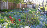 A Sioux Lookout garden scape. - Ruth Coughlin / Submitted Photo