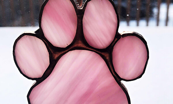 2020, a charitably supportive year for Sioux Looks Out for Paws