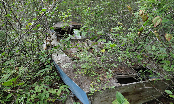 Dick's Hideaway: Sprinting across a rippling blue lake