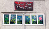 The St. Patrick’s Day themed window display at the Sioux Area Senior Activity Centre. -  Reeti Meenakshi Rohilla / Bulletin Photo