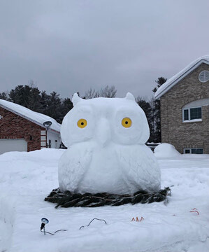 Snow sculpture contest winners announced