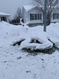 The deer snow sculpture created by Jean Kim, Tayler Sorensen, Amanda Driscoll and Tamara Lubek.   Tayler Sorensen / Submitted Photo