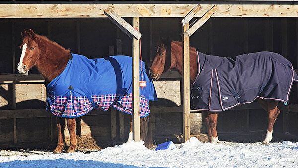 Bundled up