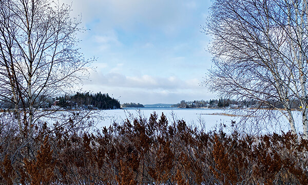 Wintery landscape