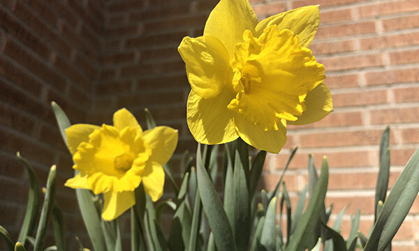 Spring sightings