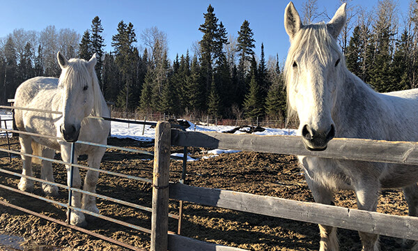 Spring in Sioux Lookout