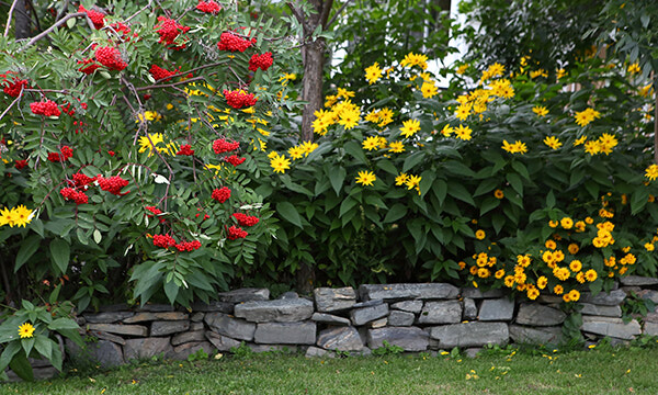 Late summer in Sioux Lookout