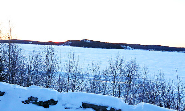 February walk
