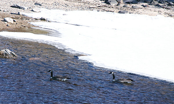 Spring in Sioux Lookout  - March 31, 2021