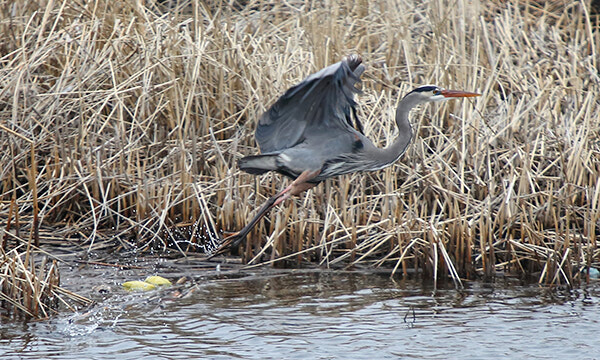 Takeoff!