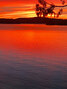 Kaynen Cosco / Submitted Photo