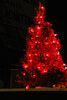 Trees are lit with decorative lights, which are purchased by community members, and are on display at the Sioux Lookout Meno Ya Win Health Centre during the week of Feb. 14. - Bulletin File Photo