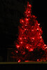 Trees were lit with decorative lights, which are purchased by community members, and were on display at the Sioux Lookout Meno Ya Win Health Centre. - Bulletin File Photo