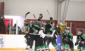 The Warriors celebrate their shootout win.     Tim Brody / Bulletin Photo